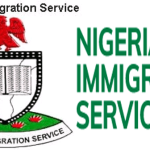 nigeria-immigration-services